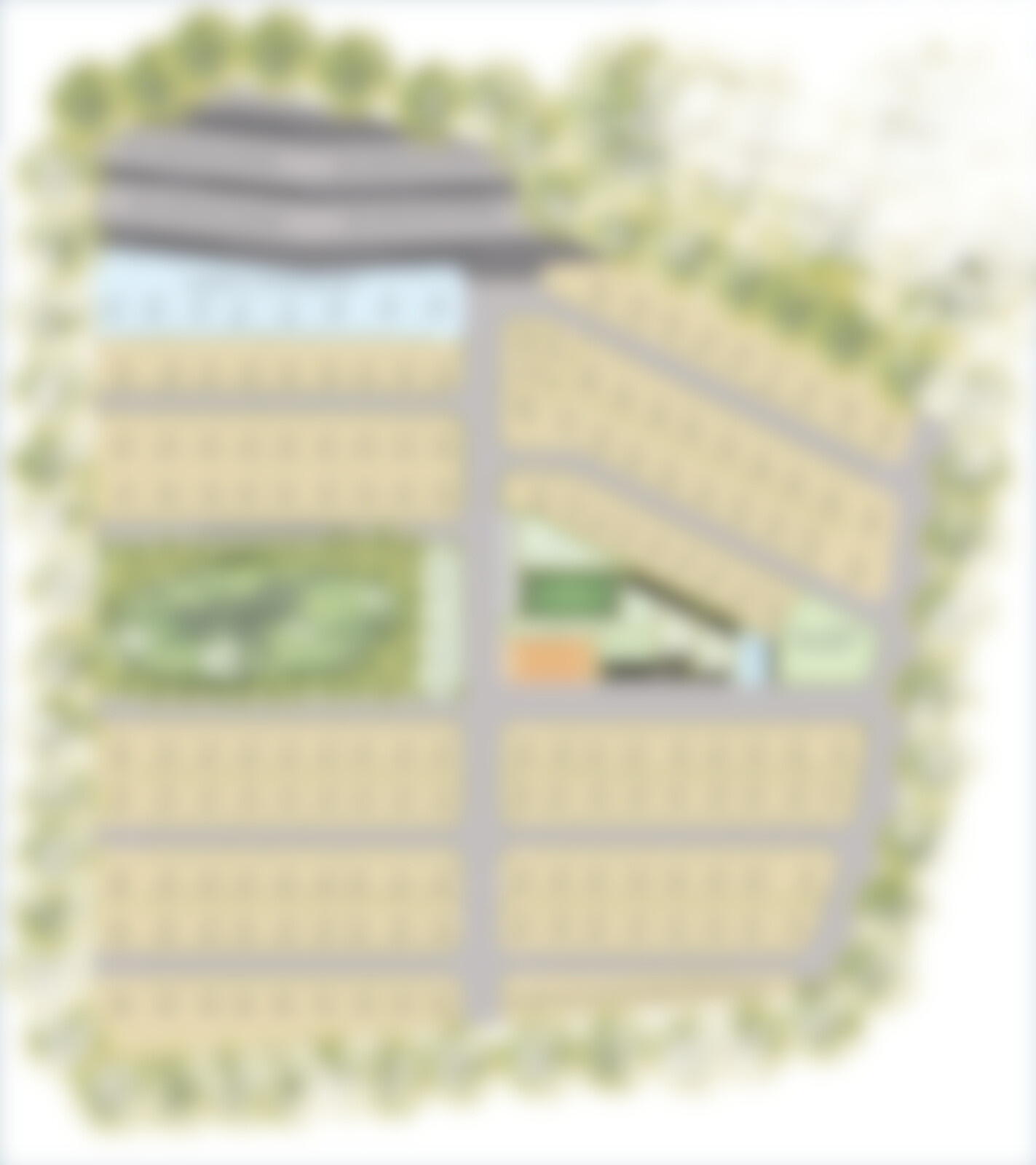 Oak & Aura Project Plan